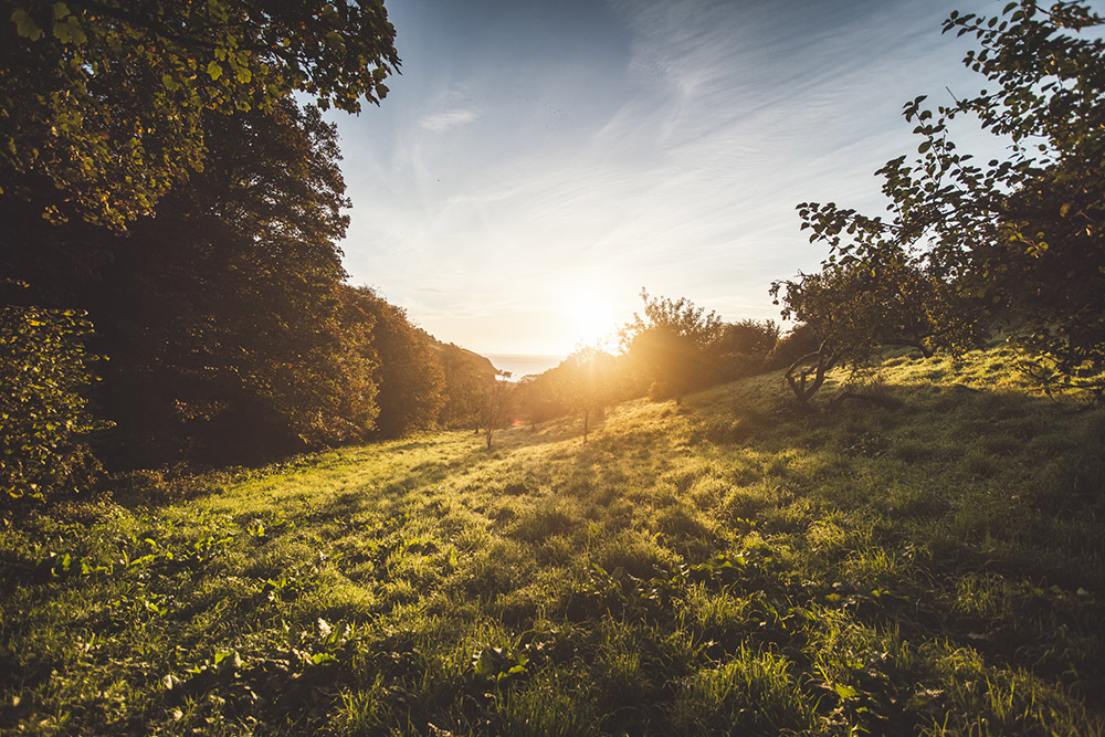 If you’re new to photography it can be tricky to know whether to shoot in Raw or JPEG. Copyright: Claire Gillo