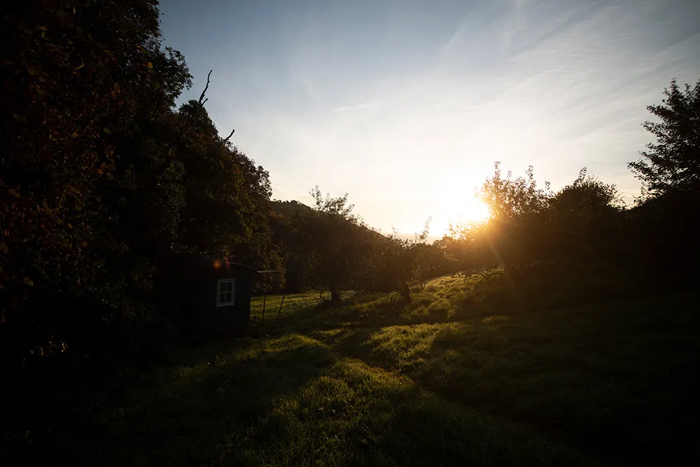 BEFORE: This image was shot in Raw. Before processing. Copyright: Claire Gillo