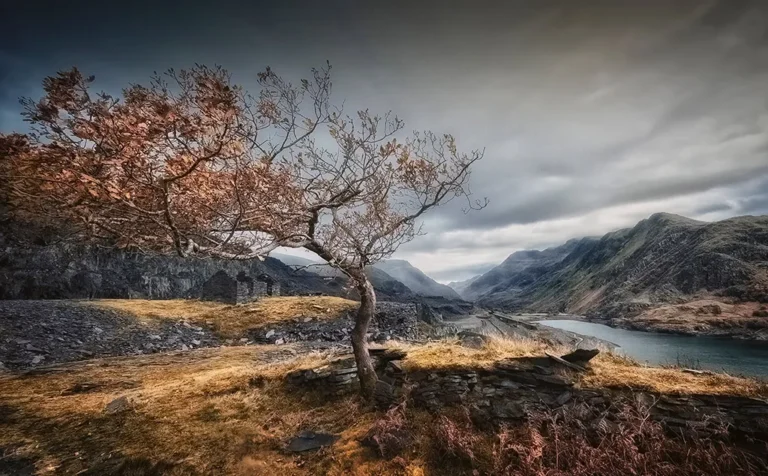 Andy Gray, iPhone 14 Pro – Smartphone Picture of the Week