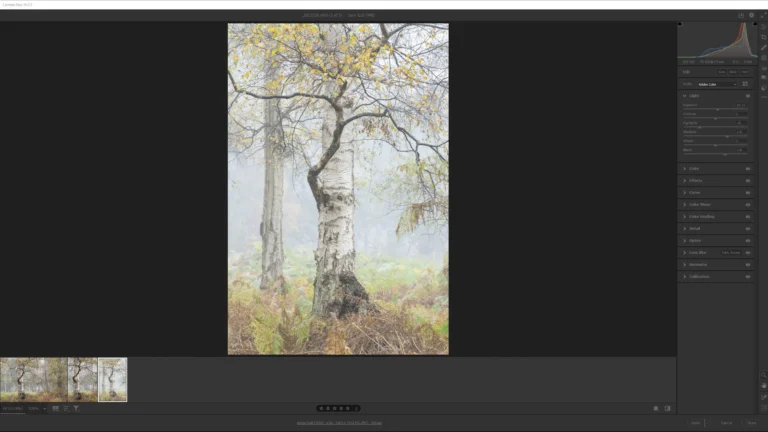 Are Adobe Camera Raw and Bridge dead?