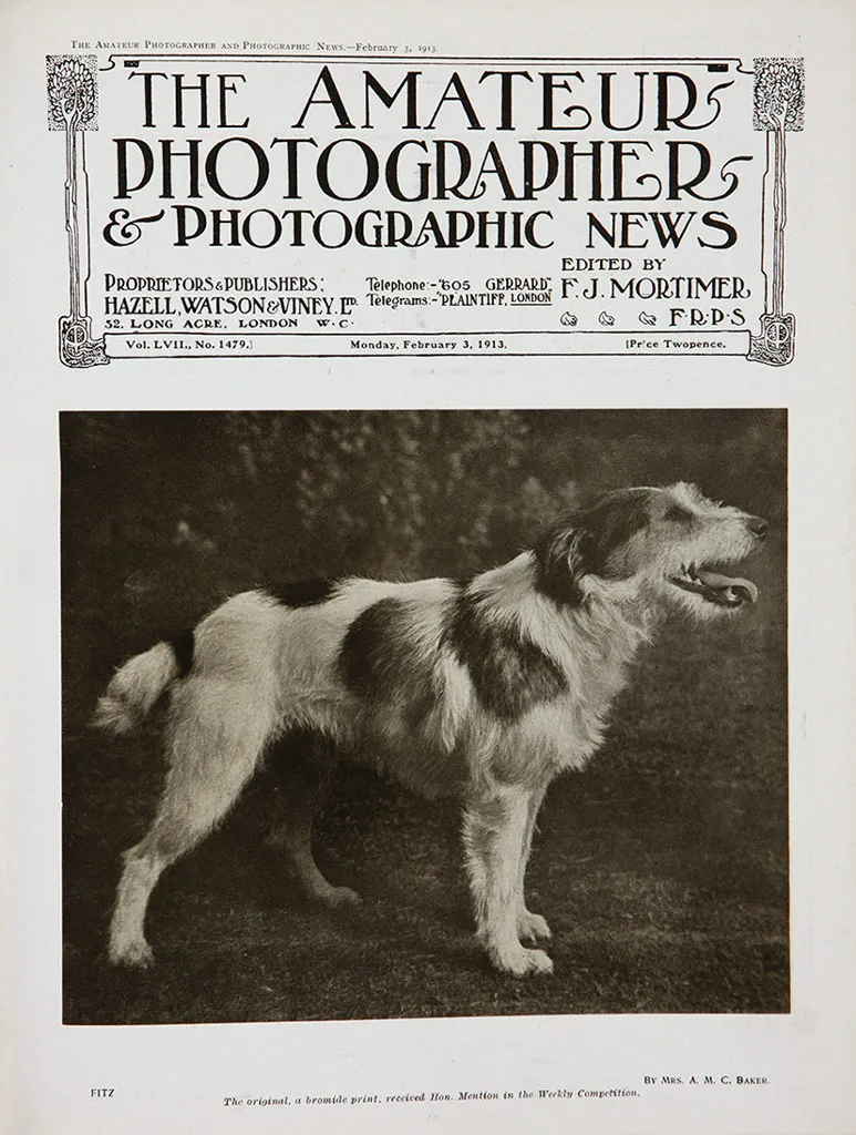 AP cover 1913