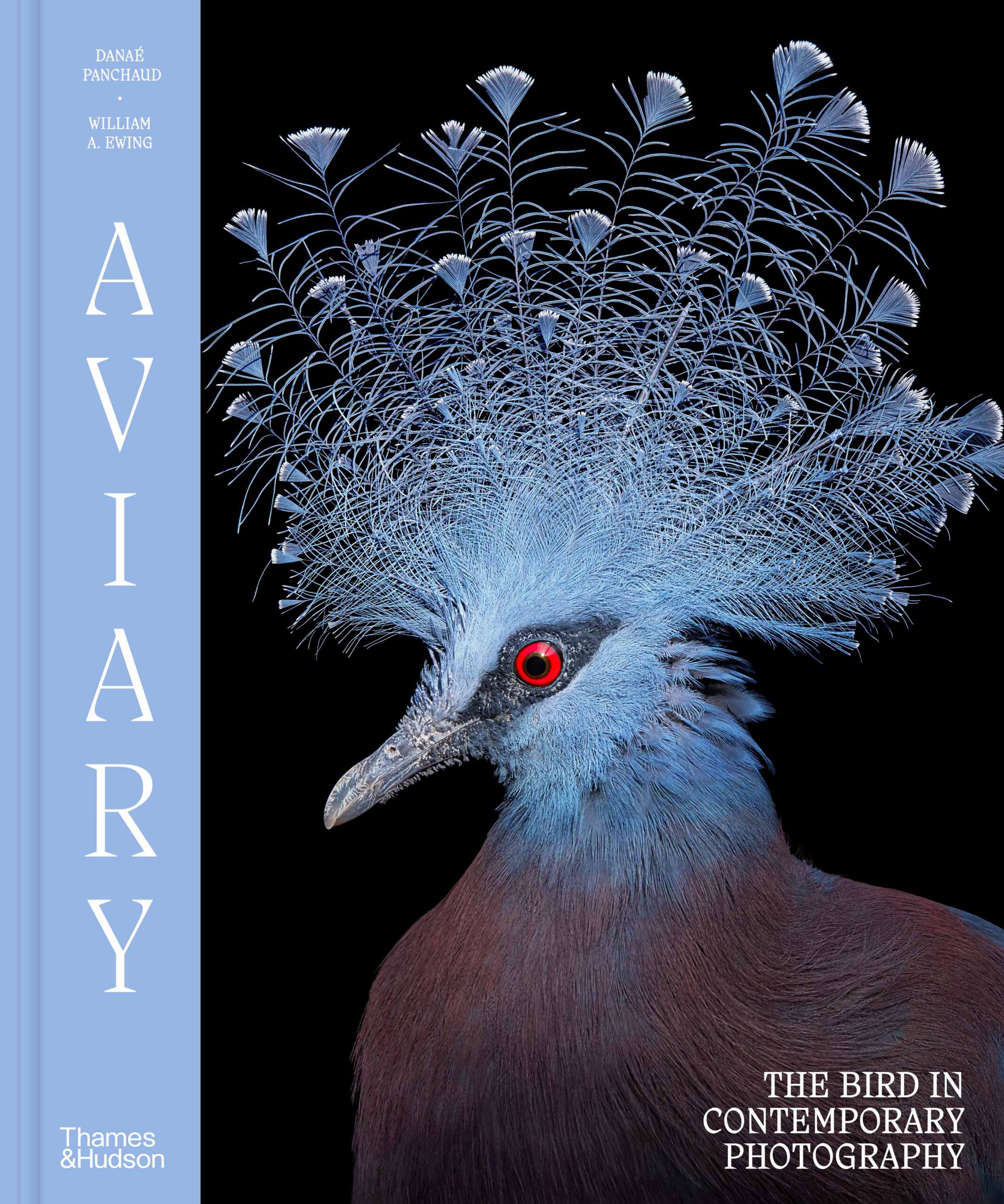 Aviary: The Bird in Contemporary Photography, edited by William Ewing and Danáe Panchaud, is published by Thames & Hudson (£50, hardback) on September 11. thamesandhudson.com