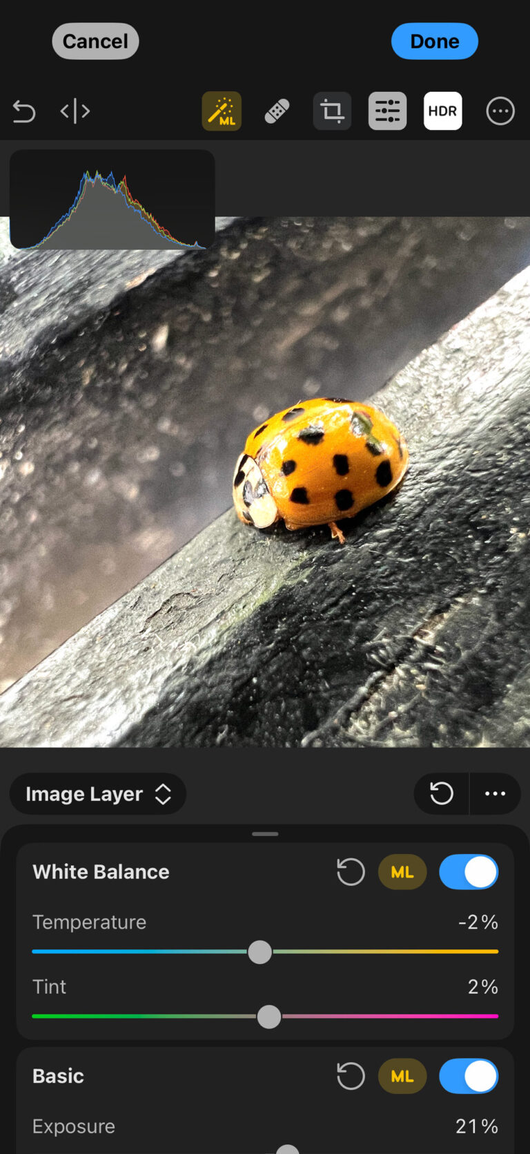 The iPhone’s photo-editing tools are good, but these apps make your photos even better
