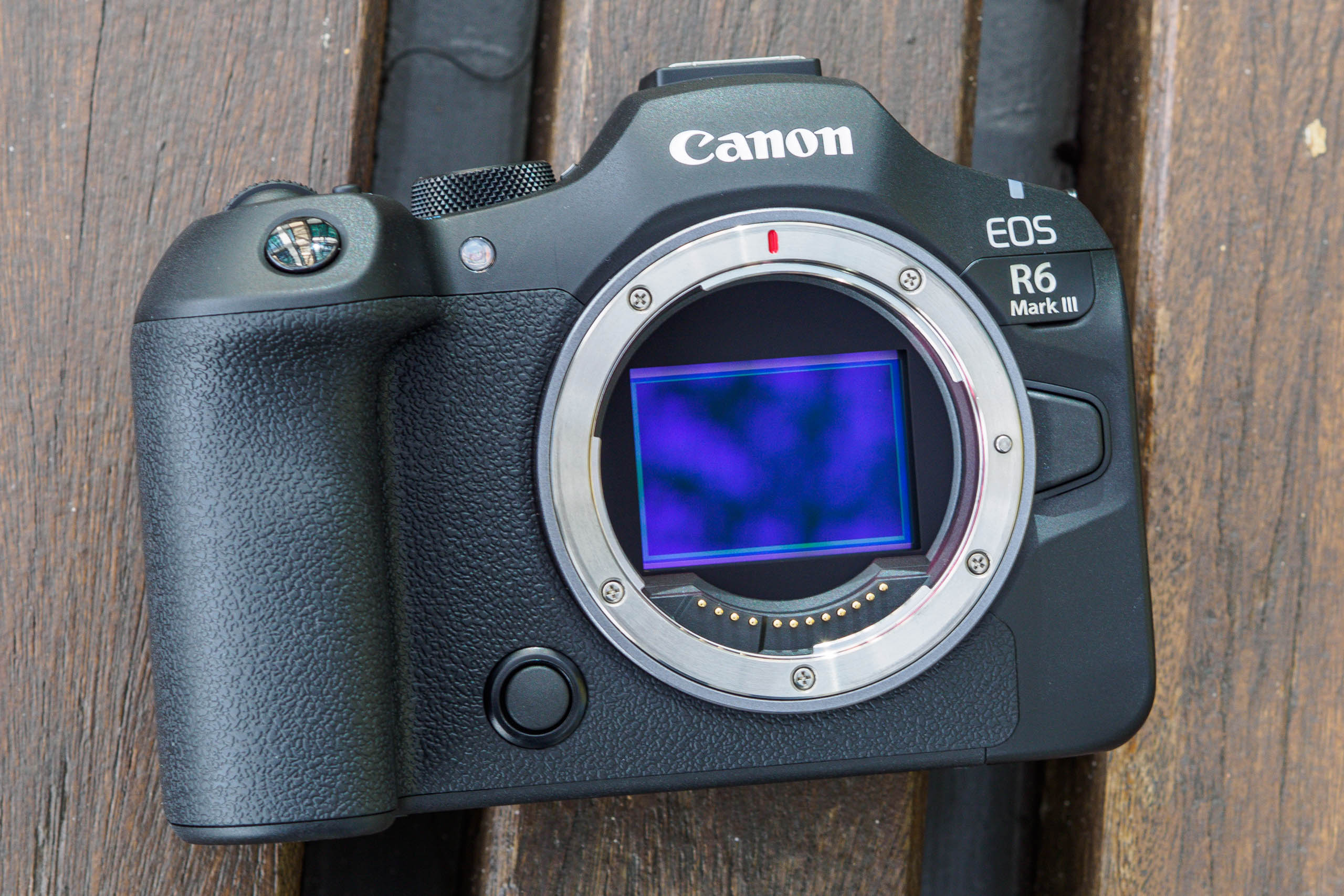 Canon EOS R6 Mark III 32.5MP full-frame sensor
