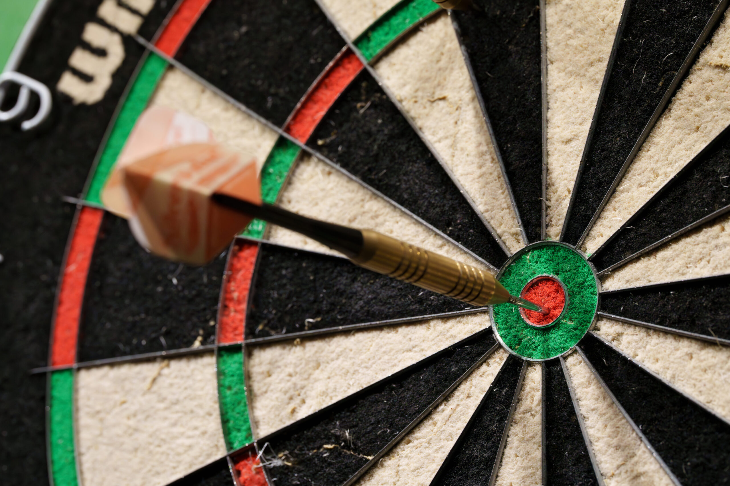 Sony FE 100mm F2.8 Macro GM OSS lens. Image credit: Angela Nicholson