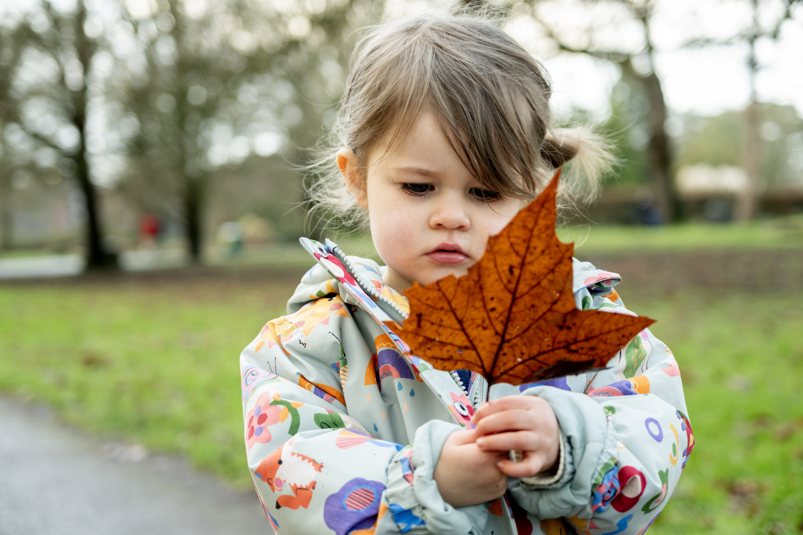 A sample image taken using the Nikon 16-50mm f/2.8 DX lens