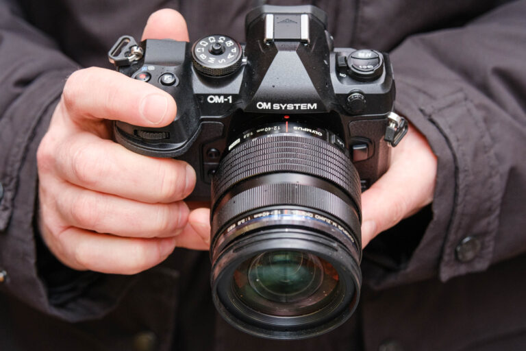 The best cameras for bird photography