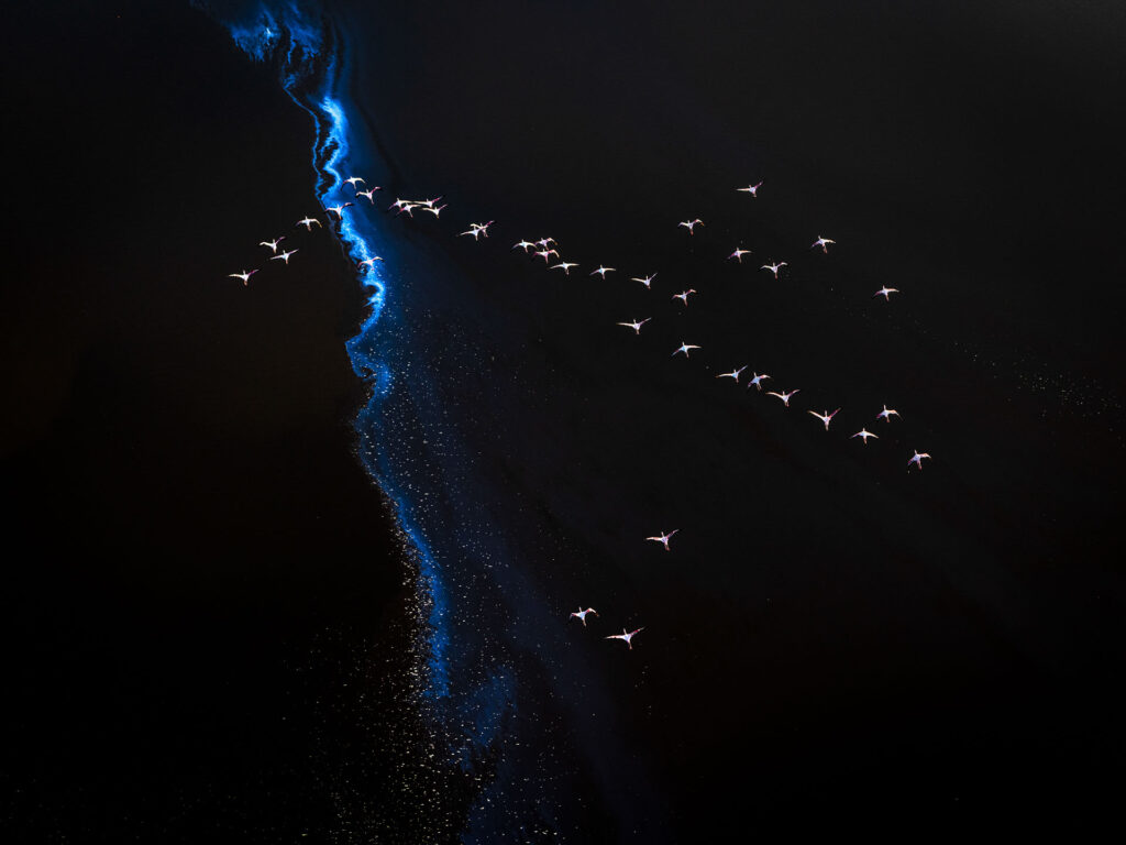 You won’t believe these incredible nature photographs, from microscopic structures to sweeping aerials, these need to be seen