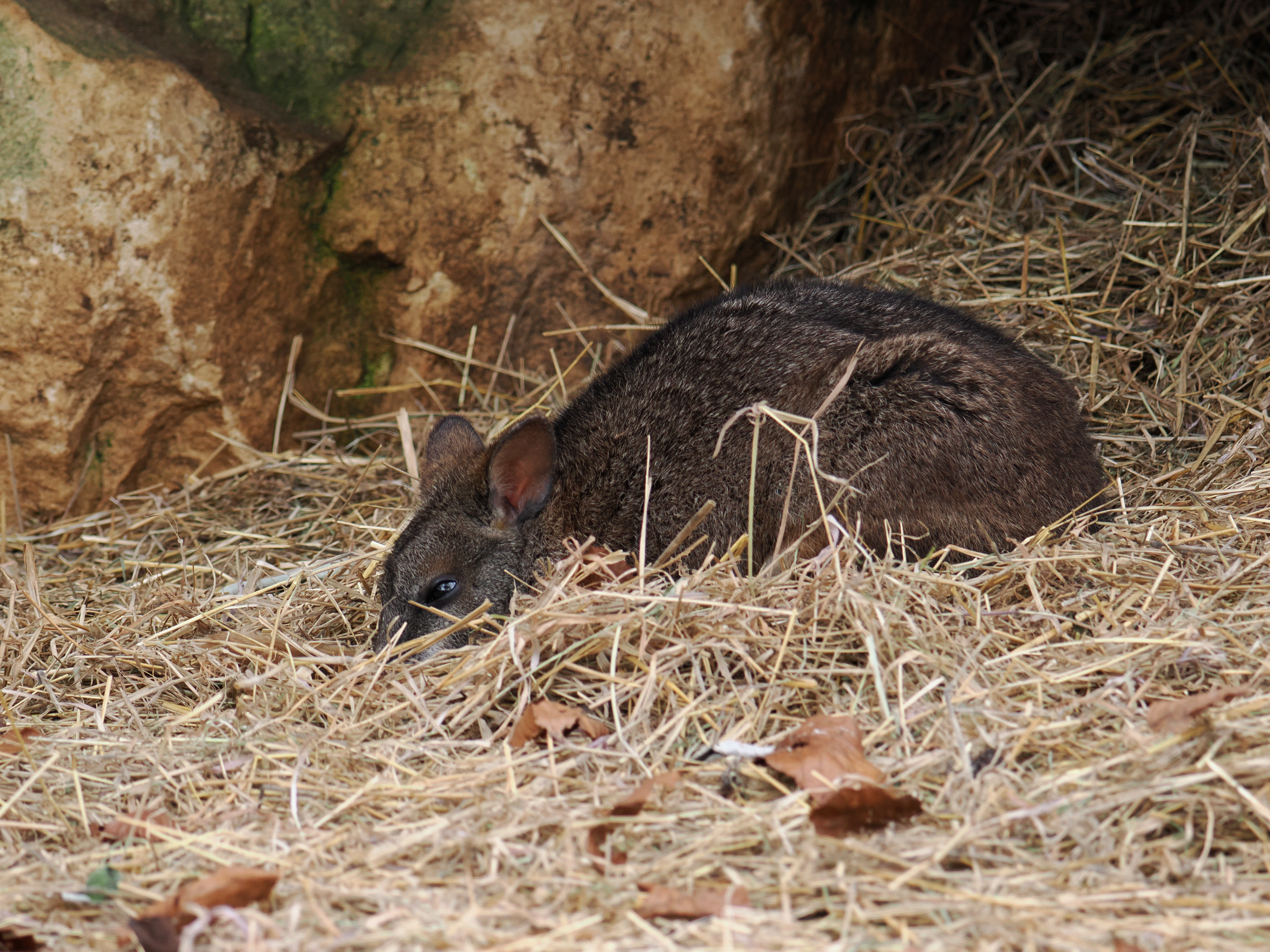 OM-System OM-1 Mark II sample photo. Photo JW.
