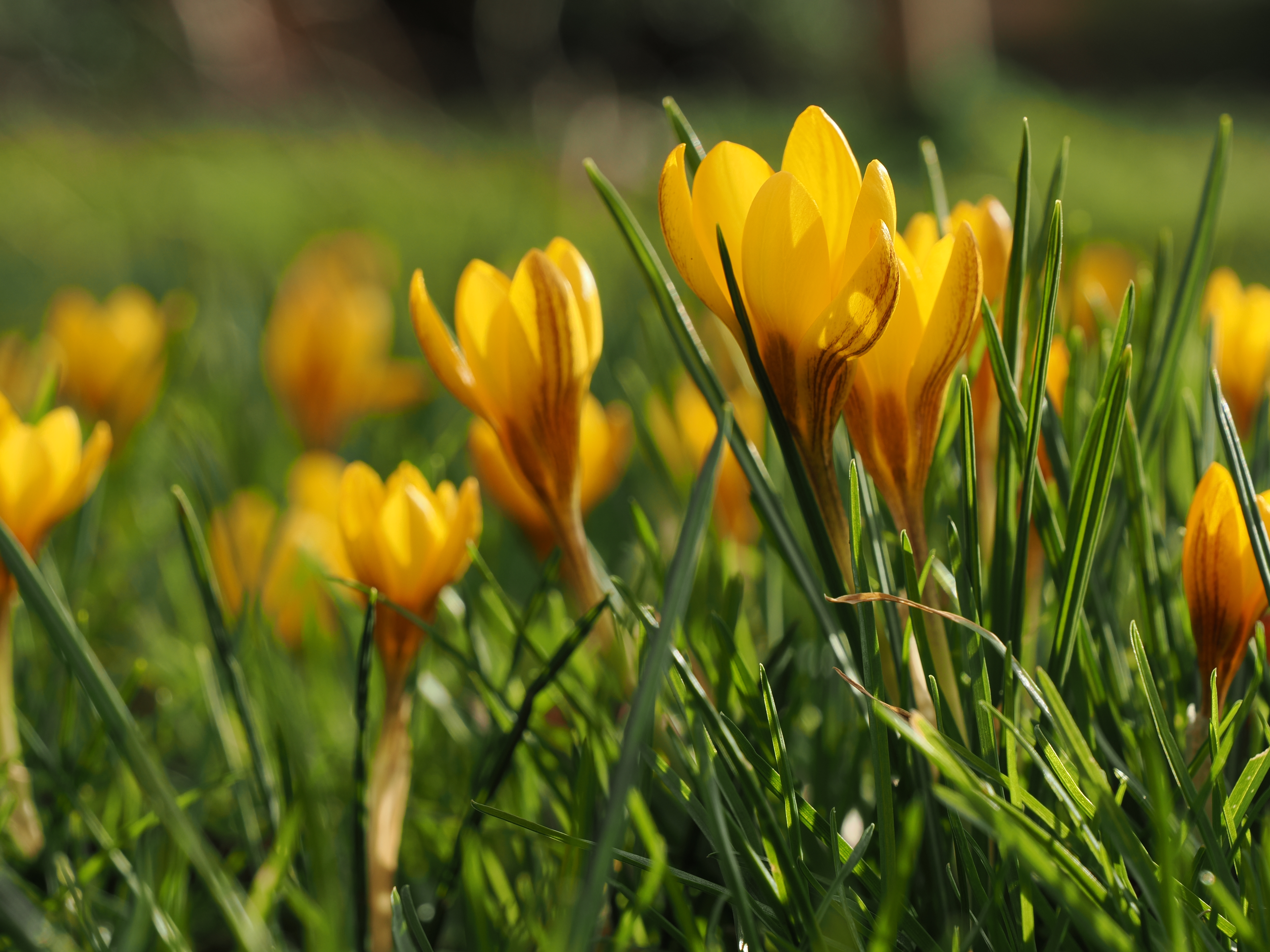 Colours look great straight out of camera. Photo Joshua Waller