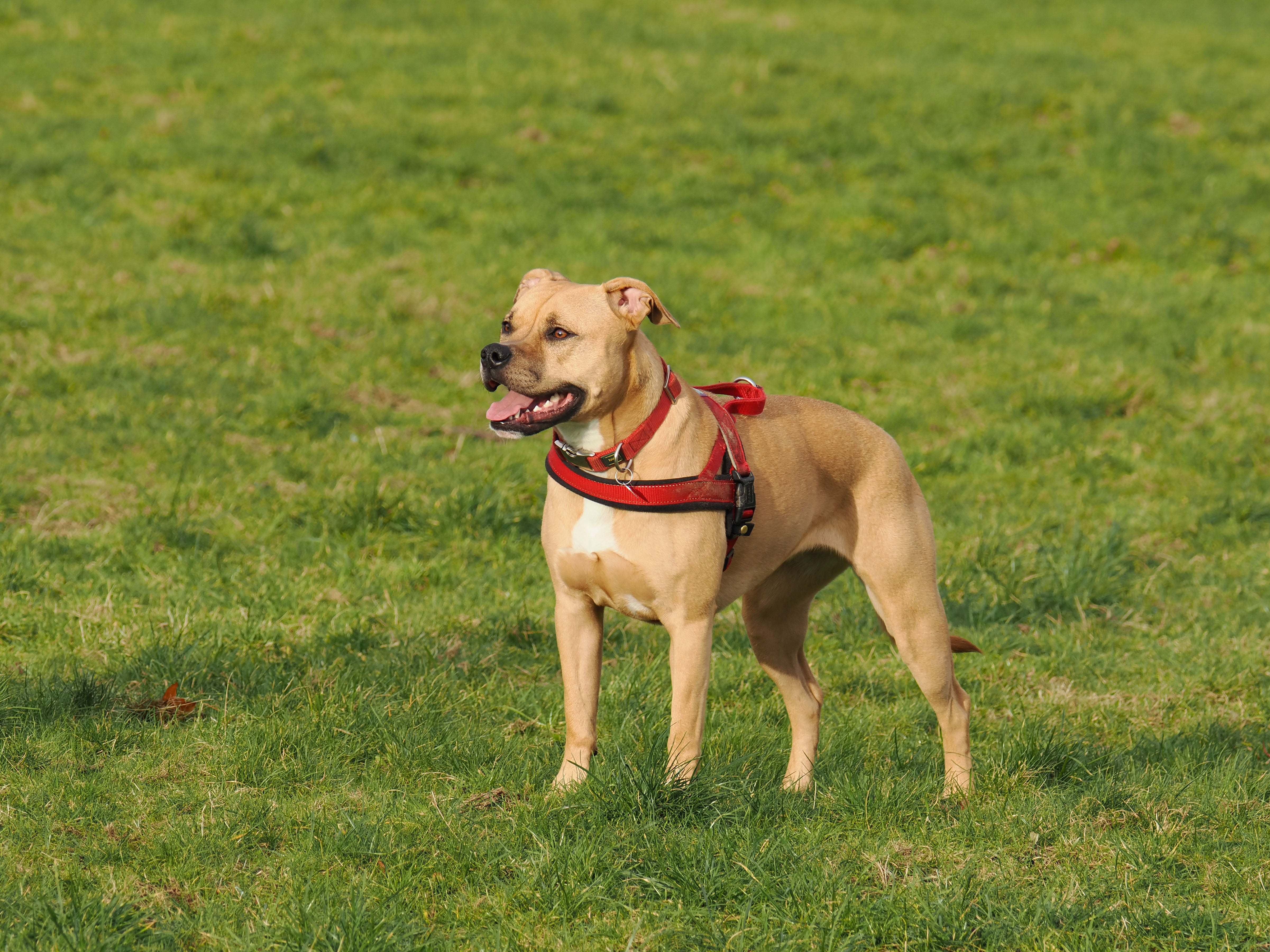 Taken with the OM-System OM-1 Mark II with 150-600mm lens. Photo Joshua Waller