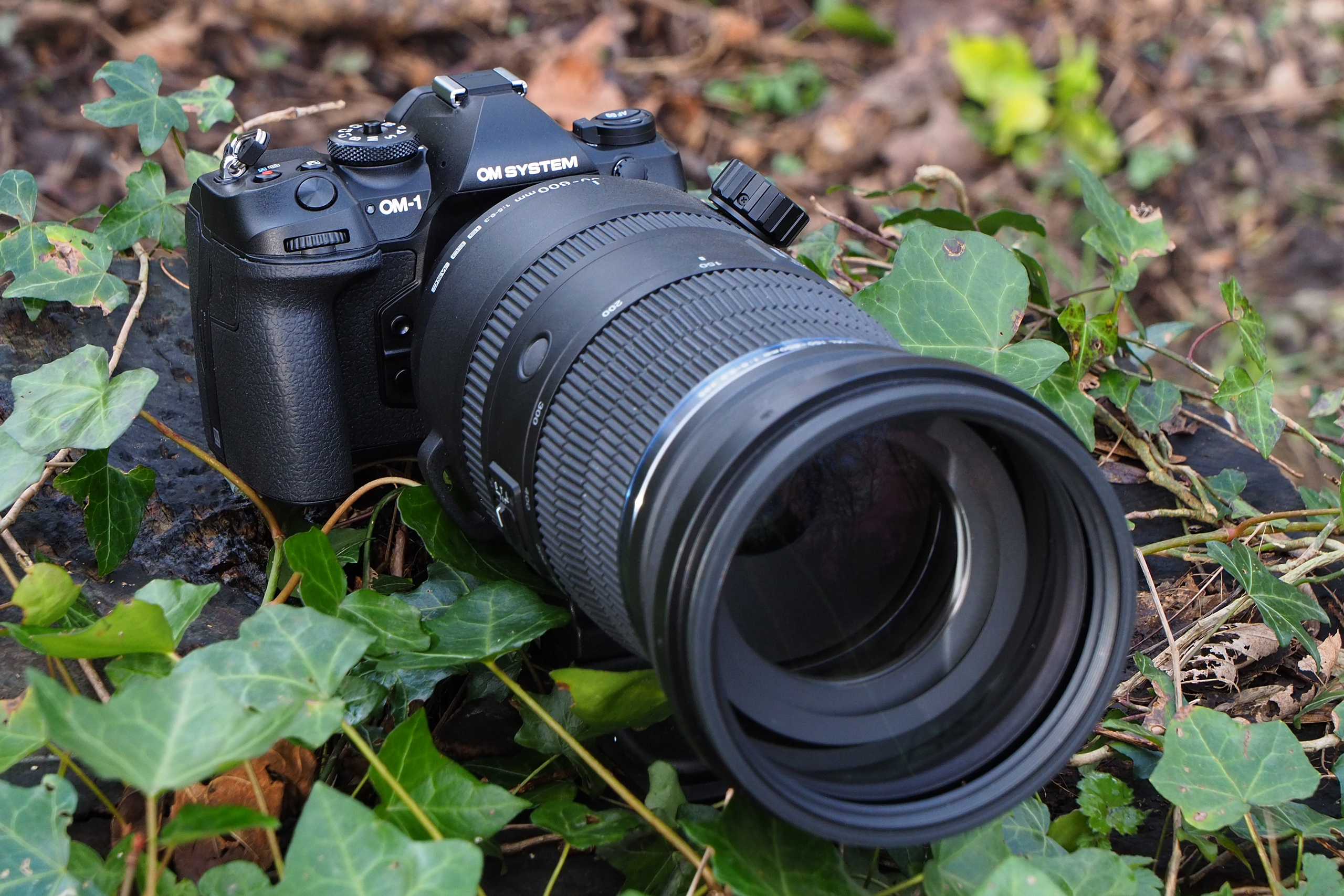 OM System OM-1 Mark II with 150-600mm lens. Photo Joshua Waller