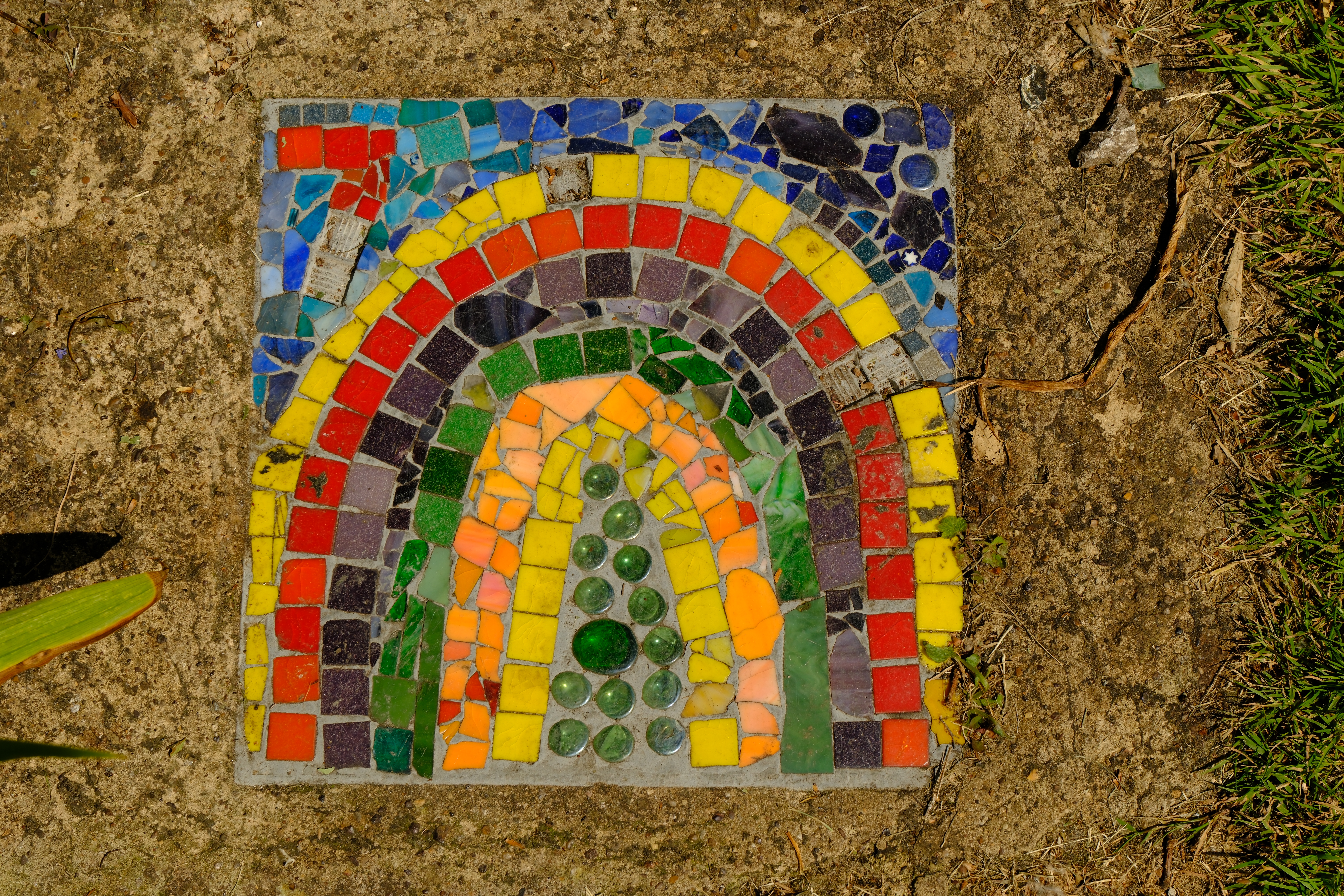 Colour is great, and the 16-50mm lens is capable of capturing plenty of detail. Photo Joshua Waller