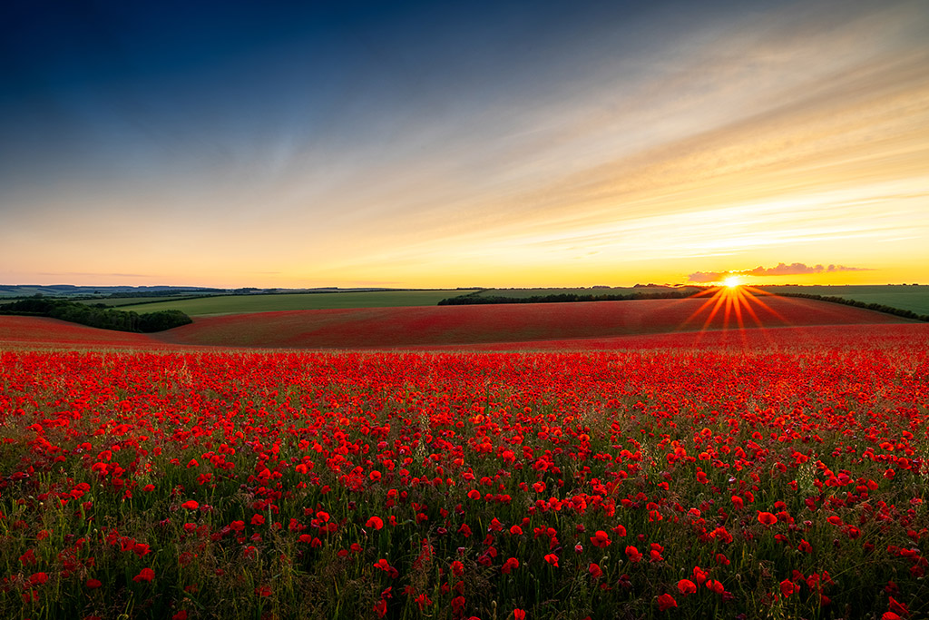 Flanders Sundown by Clive Geary
Canon EOS R6, Canon RF 15-35mm F2.8 L, images stacked 1/6sec, 1/15sec, 1/40sec, 0.4sec, 1sec at f/16, ISO 400