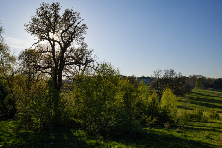 Fujifilm GFX100RF review: I can’t believe a camera this small takes such amazing pictures!