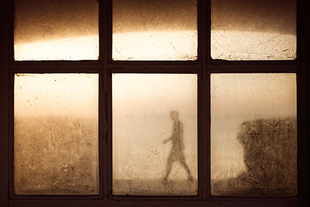 silhouette through window pane