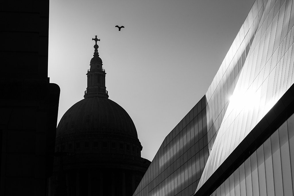 silhouette of london st pauls