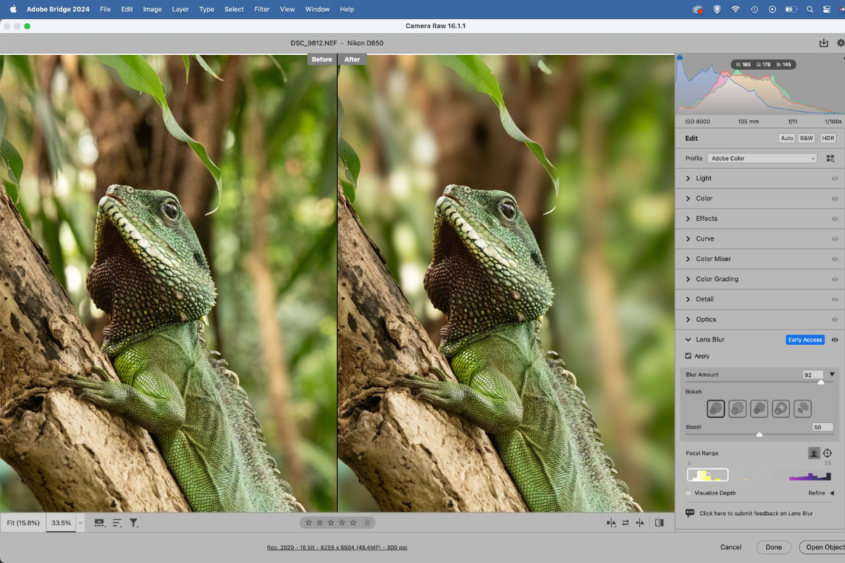 Screenshot of Adobe PHotoshop software being used to edit an image of a lizard