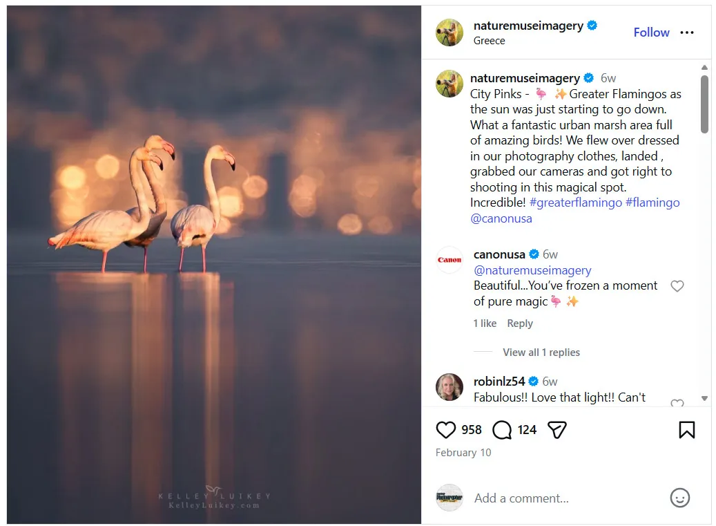 screenshot of an instagram post