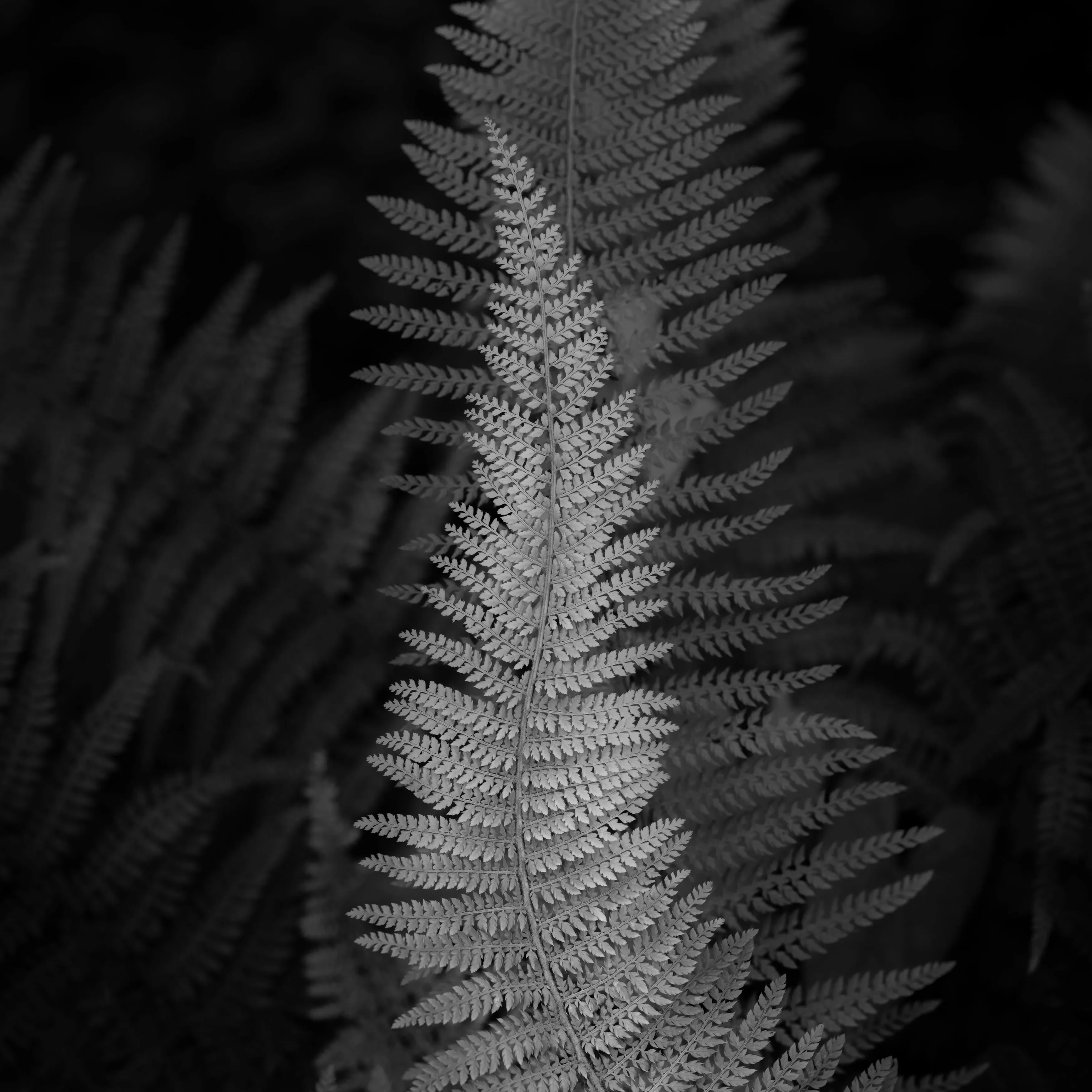 Image credit: Paul Sanders