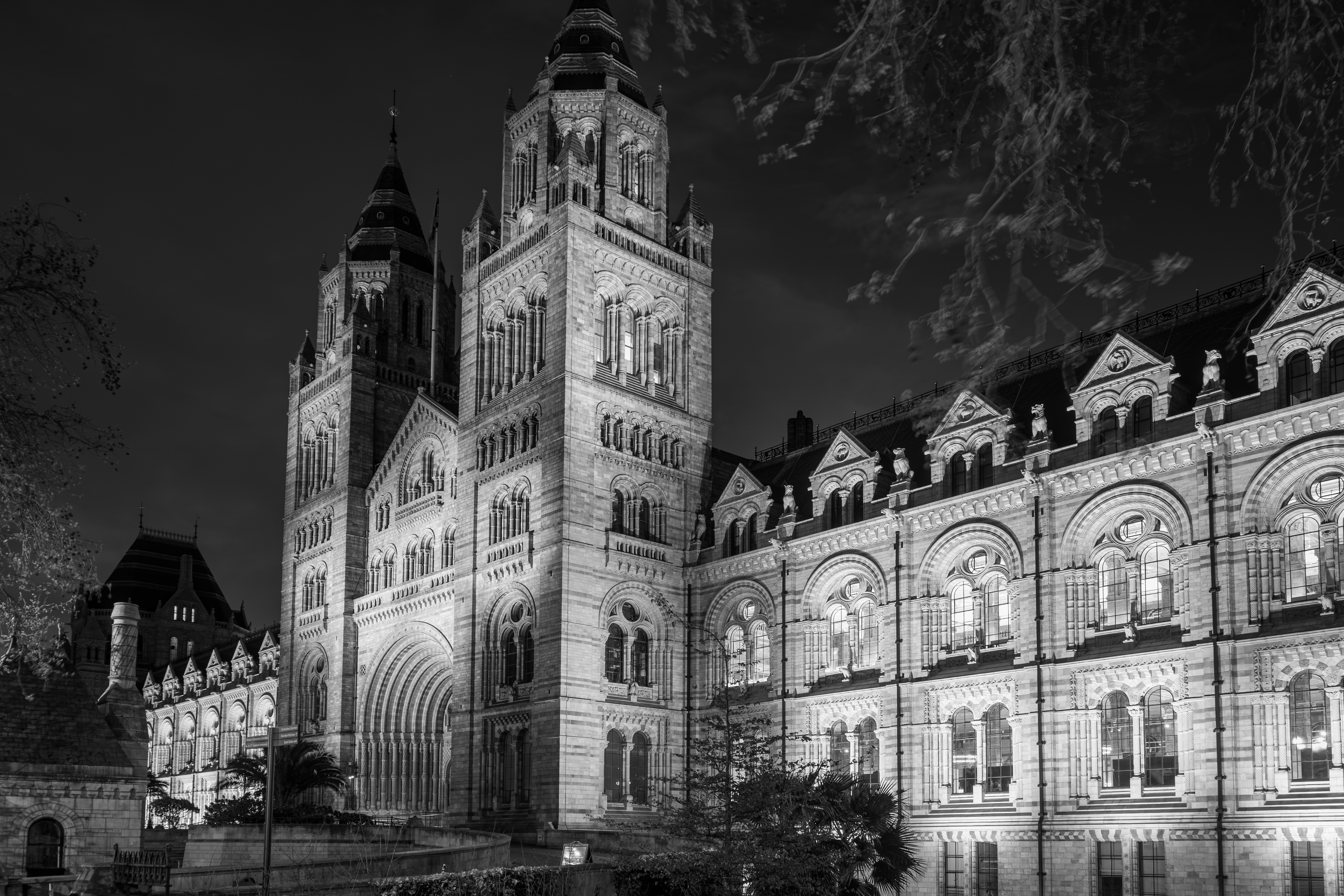Ricoh GR IV Monochrome sample image: Natural History Museum, London.